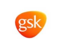 GSK (2)